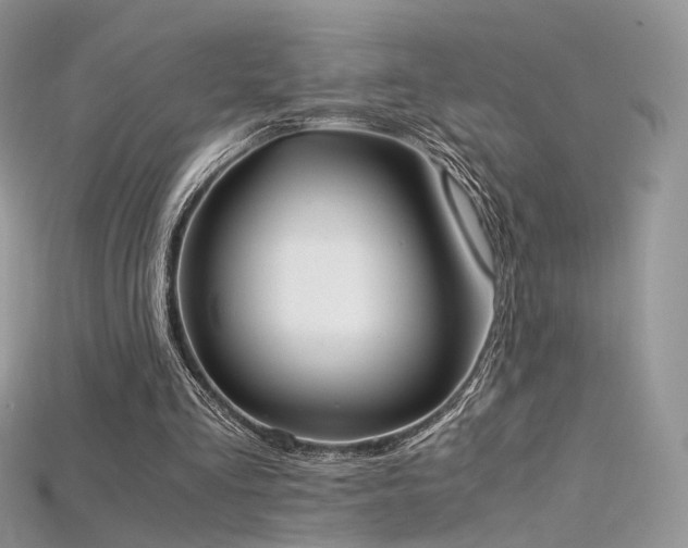X0000115660293200911121219