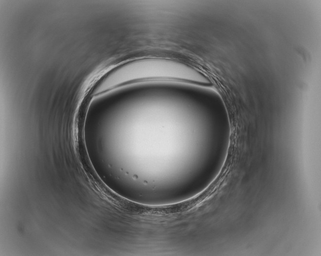 X0000115660294200911121219
