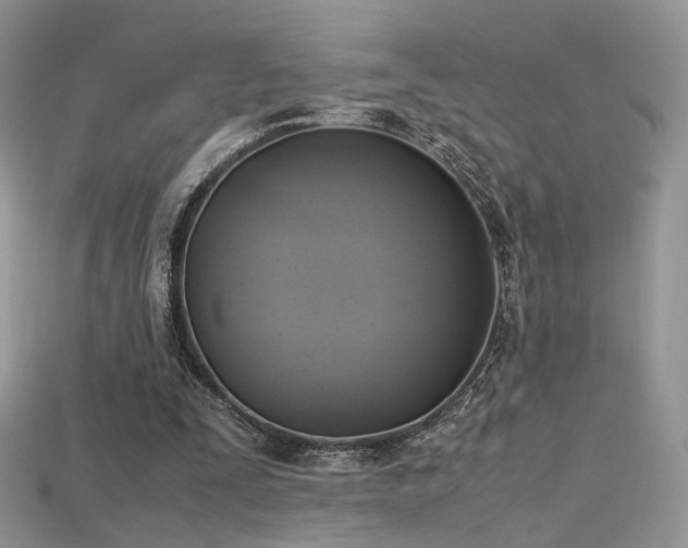 X0000115660295200911121219
