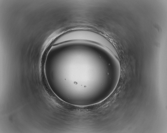 X0000115660296200911121219