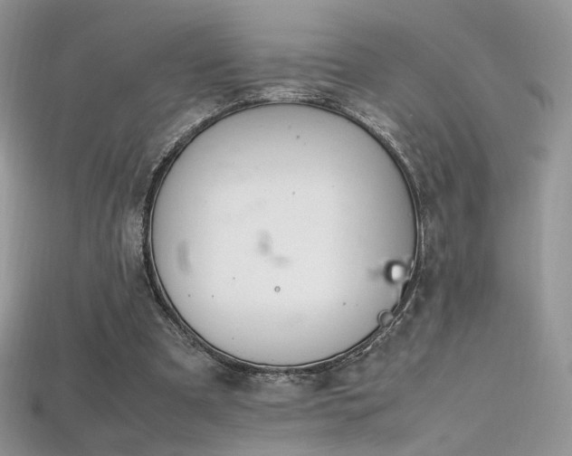 X0000115660297200911121219
