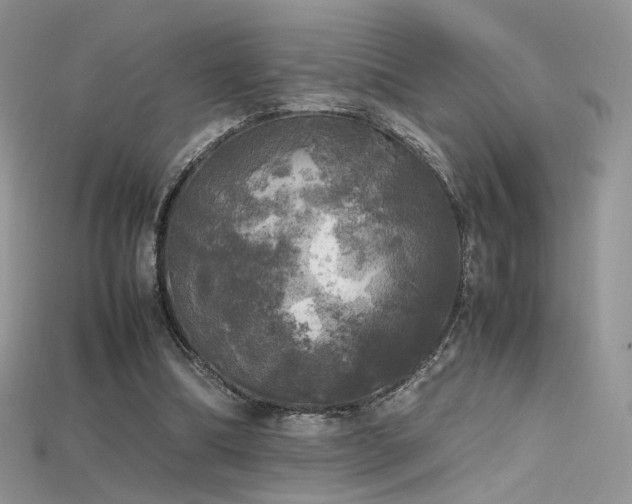 X0000115660298200911121219