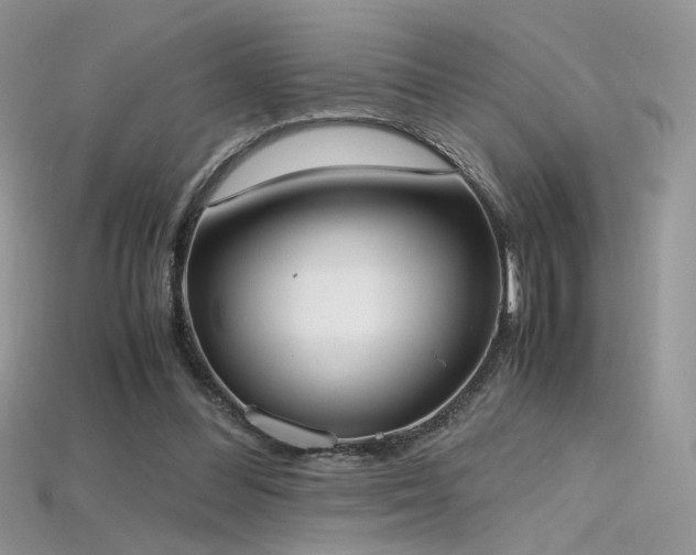 X0000115660300200911121219