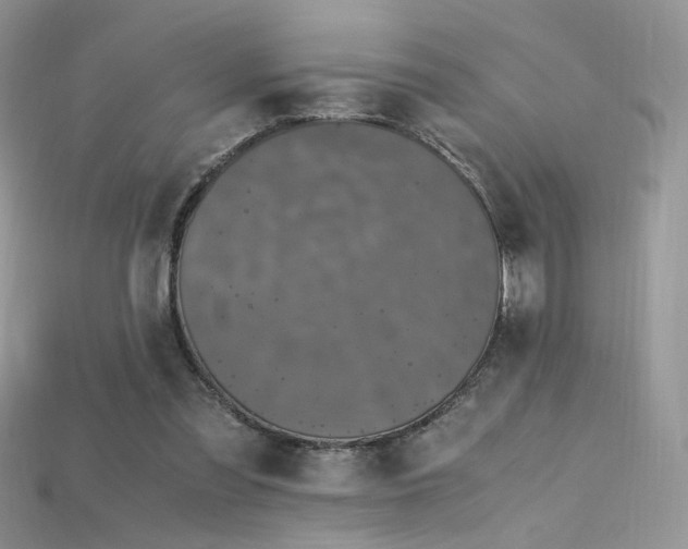 X0000115660301200911121219