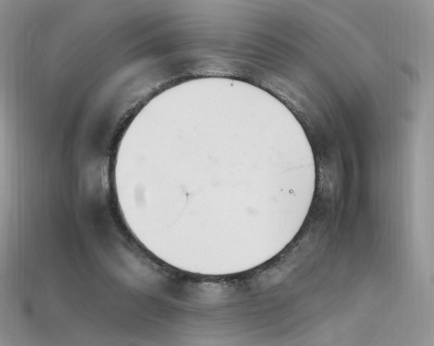 X0000115660302200911121219