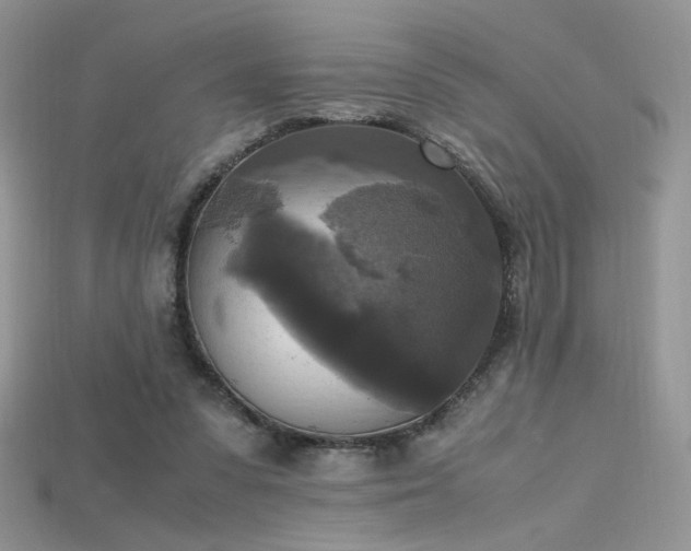 X0000115660303200911121219