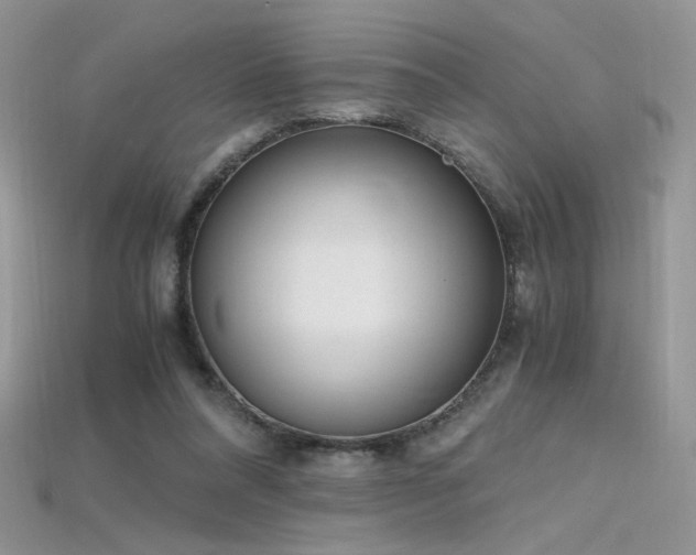 X0000115660304200911121219