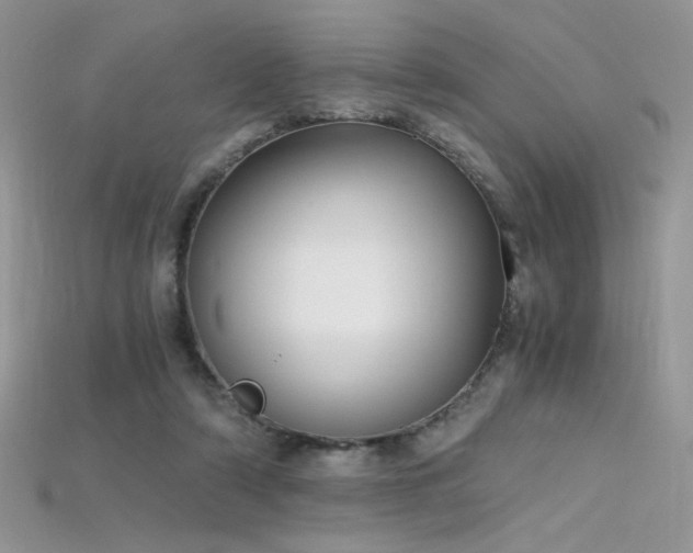 X0000115660306200911121219