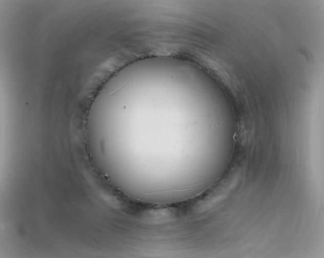 X0000115660307200911121219