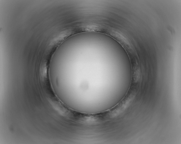 X0000115660310200911121219