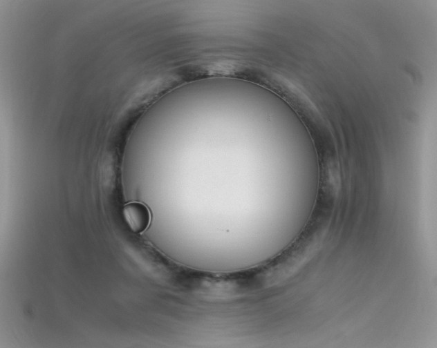 X0000115660311200911121219