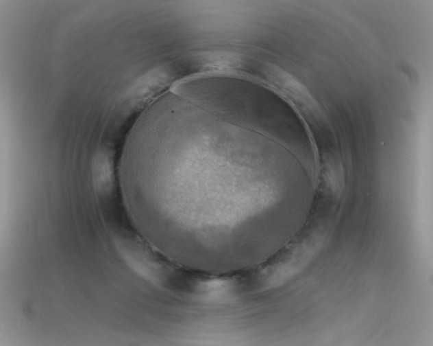 X0000115660312200911121219
