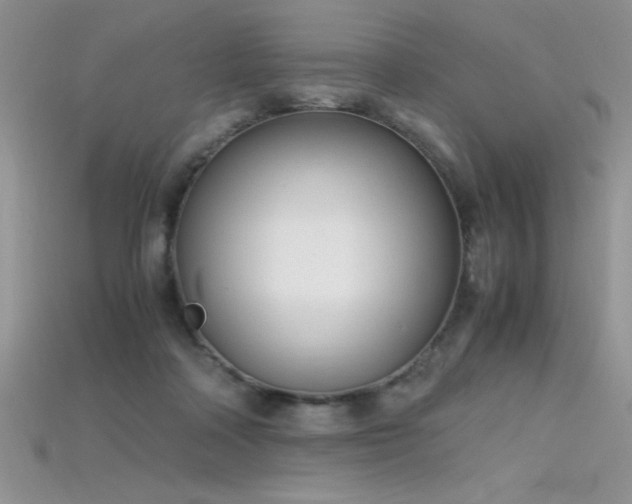 X0000115660314200911121219
