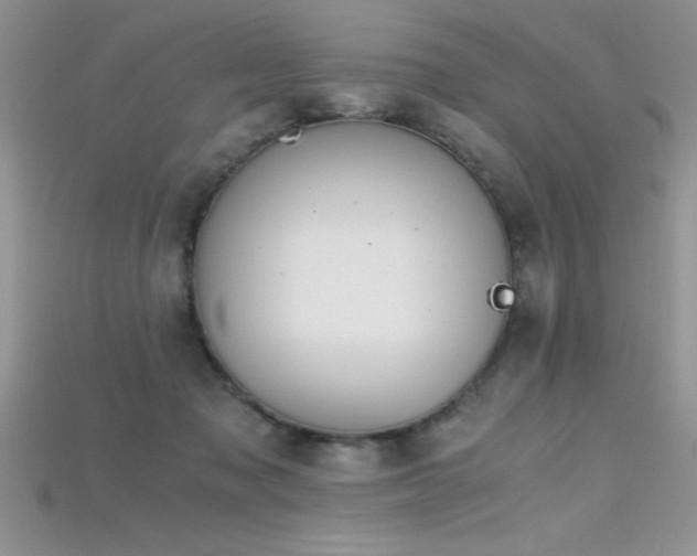 X0000115660317200911121219