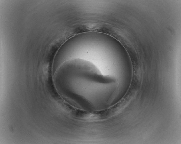 X0000115660319200911121219