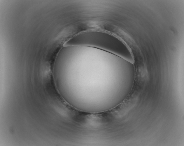 X0000115660320200911121219