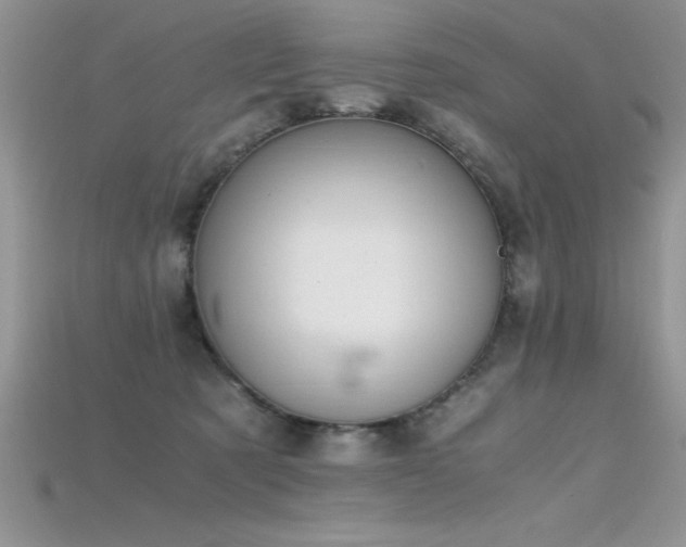 X0000115660321200911121219