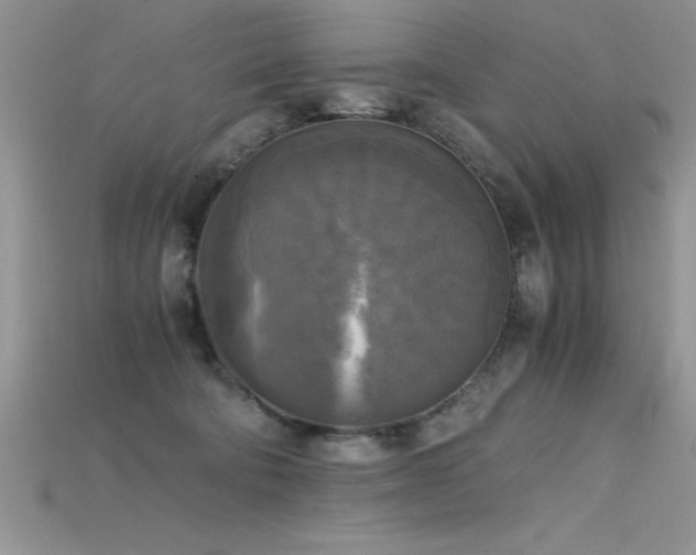 X0000115660322200911121219