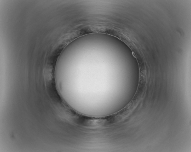 X0000115660323200911121219