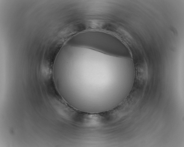 X0000115660324200911121219