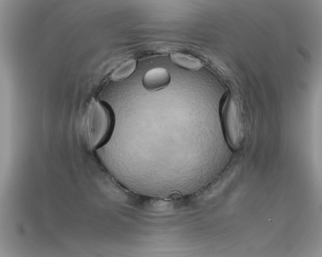 X0000115660325200911121219
