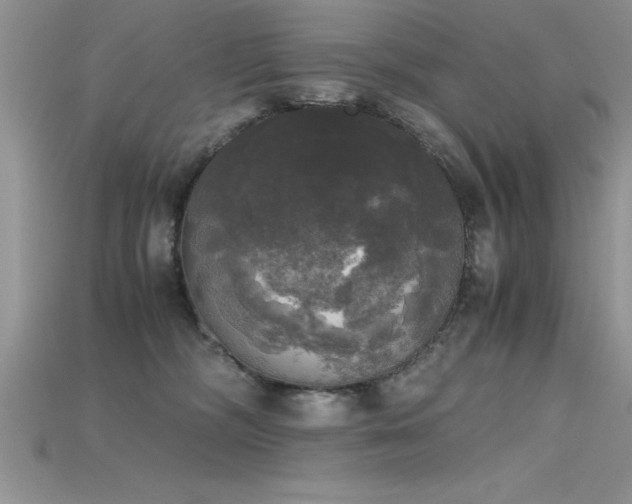 X0000115660326200911121219