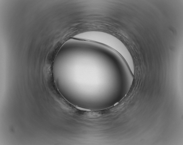X0000115660327200911121219