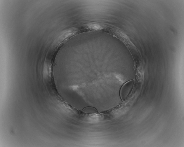 X0000115660330200911121219