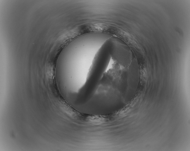 X0000115660331200911121219