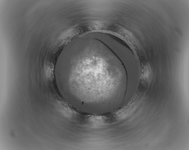 X0000115660332200911121219