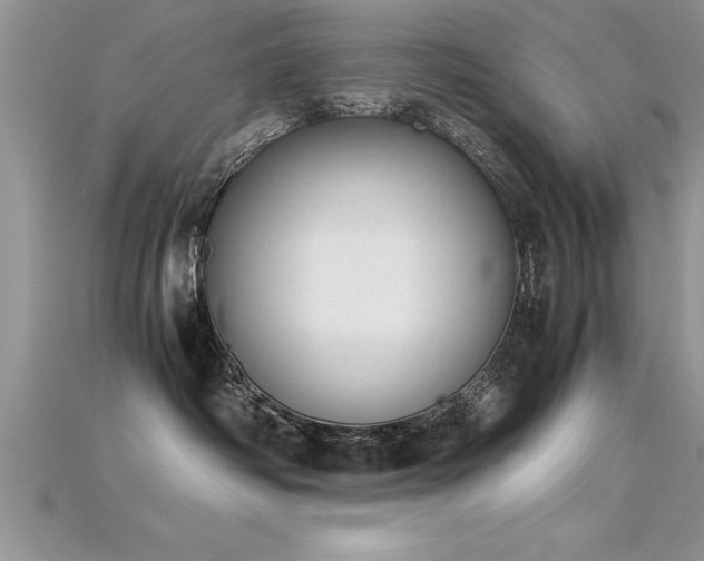 X0000115660334200911121219
