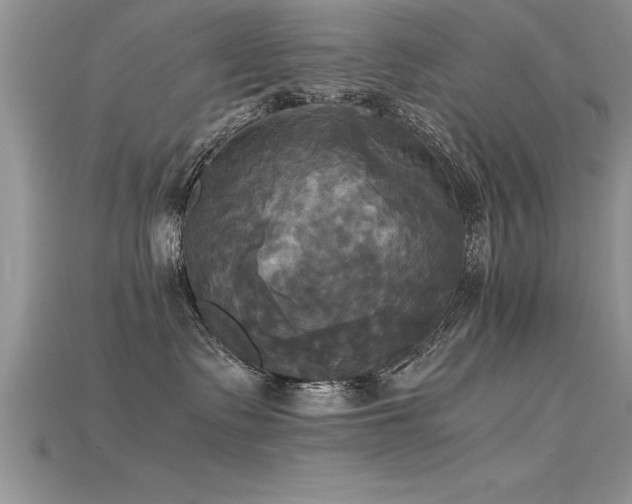 X0000115660335200911121219