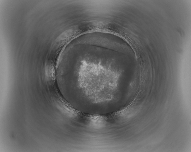 X0000115660336200911121219