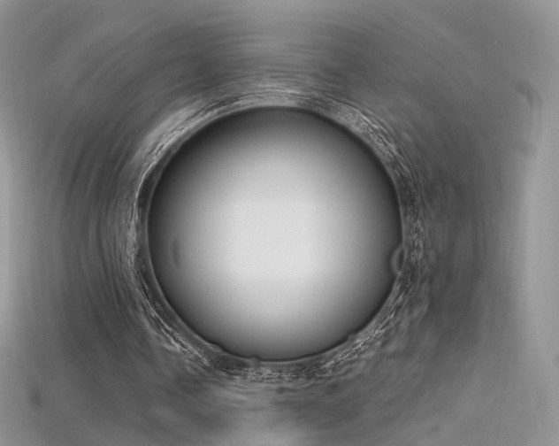 X0000115660338200911121218
