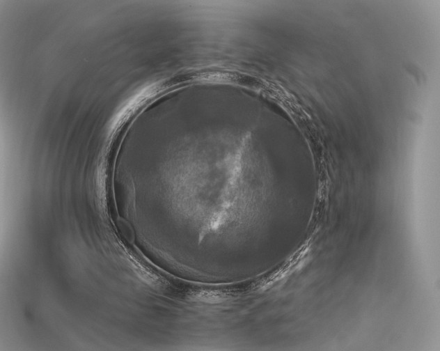 X0000115660341200911121218