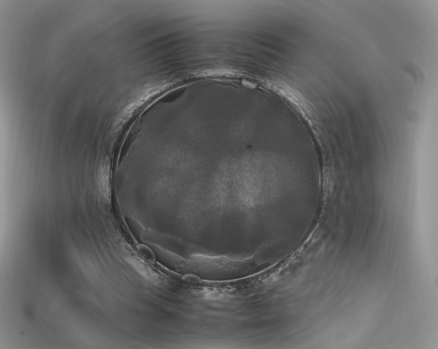 X0000115660345200911121218