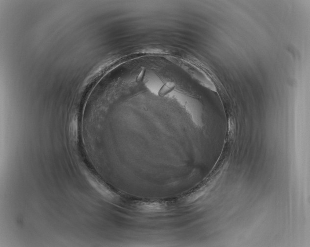 X0000115660349200911121218