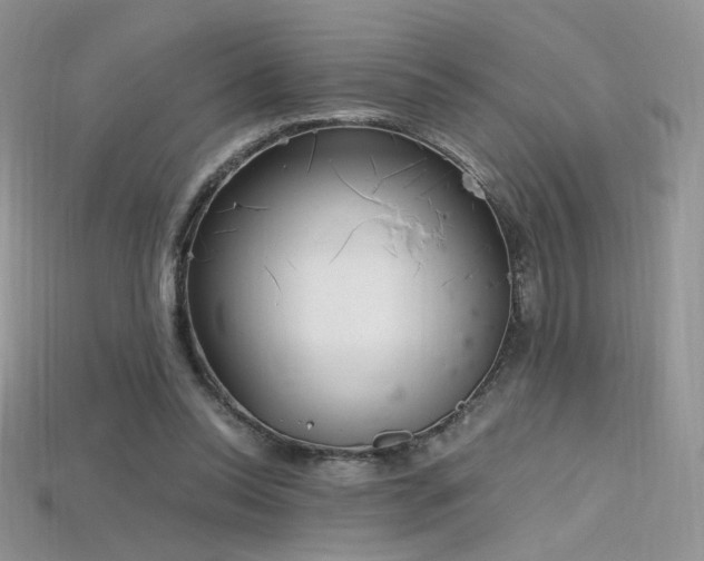 X0000115660350200911121218