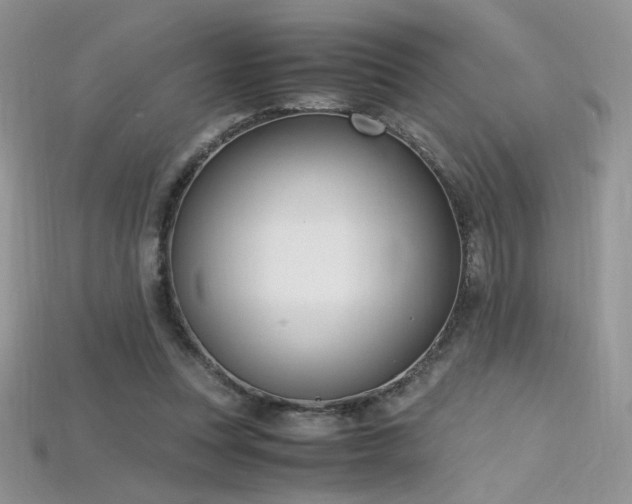 X0000115660351200911121218