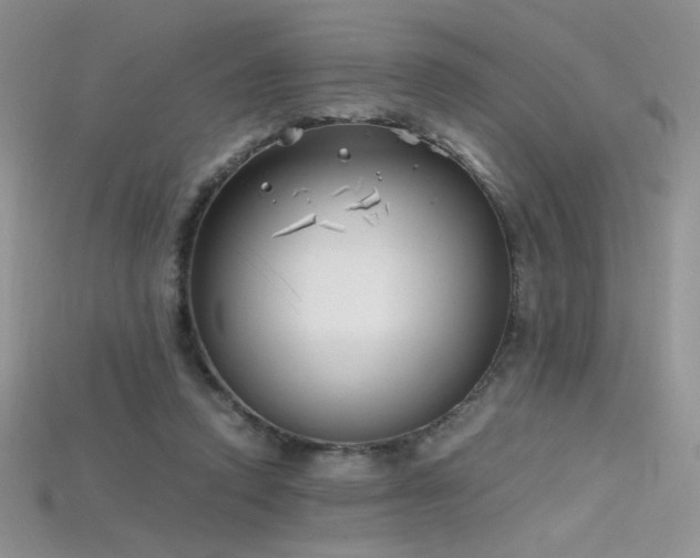 X0000115660354200911121218