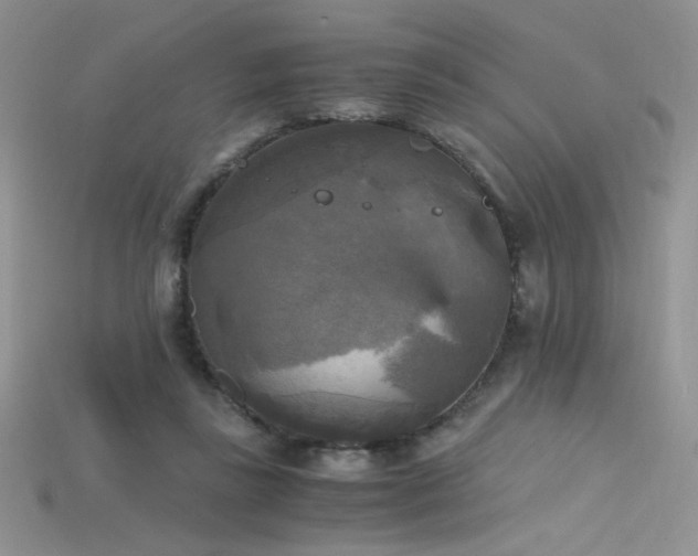 X0000115660355200911121218