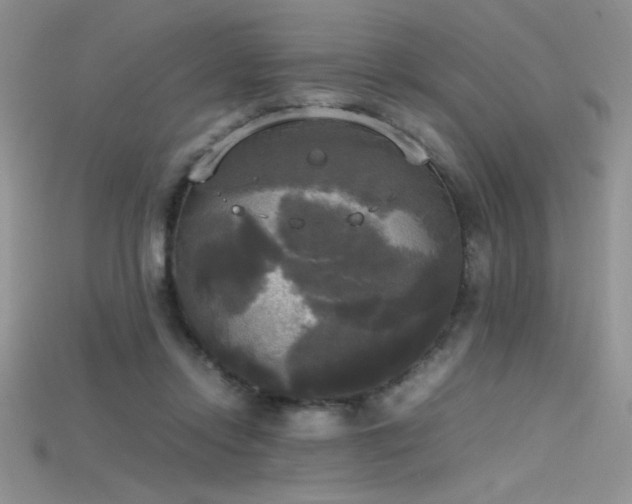 X0000115660358200911121218