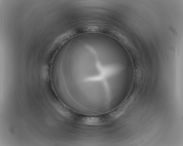 X0000115660361200911121218