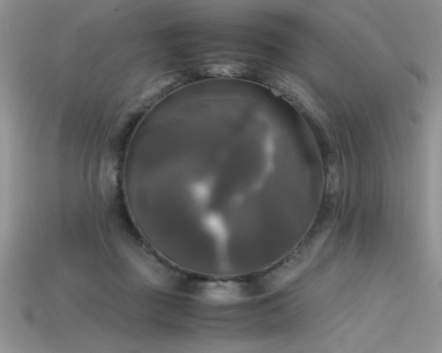 X0000115660363200911121218
