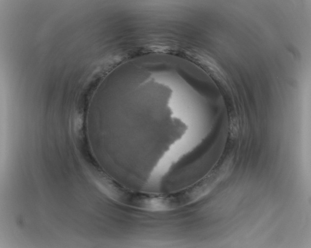 X0000115660365200911121218