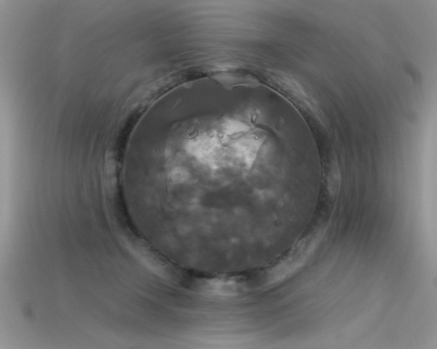 X0000115660366200911121218
