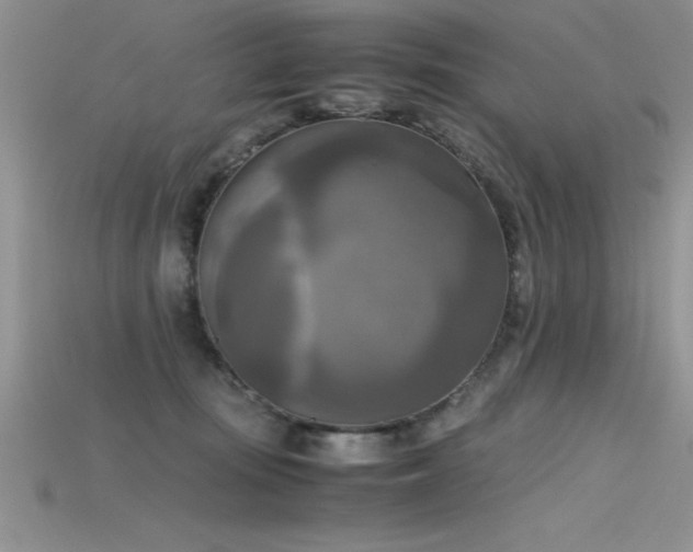 X0000115660371200911121218