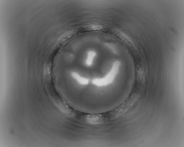 X0000115660373200911121218