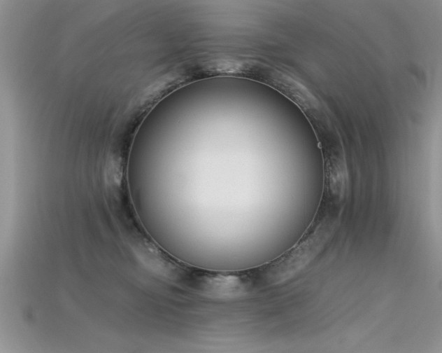X0000115660374200911121219