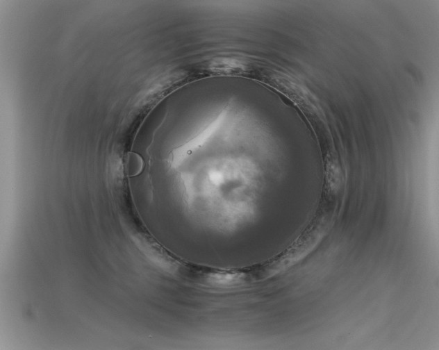 X0000115660375200911121219